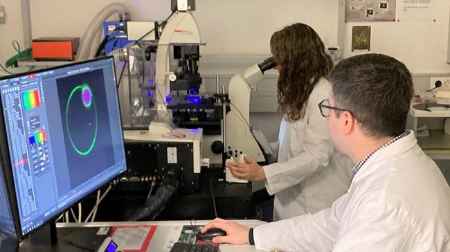 Researchers Agustin Mangiarotti and Mina Aleksanyan record the membrane response at the confocal microscope. Courtesy of Max Planck Institute of Colloids and Interfaces.